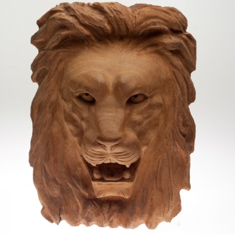 The Lion